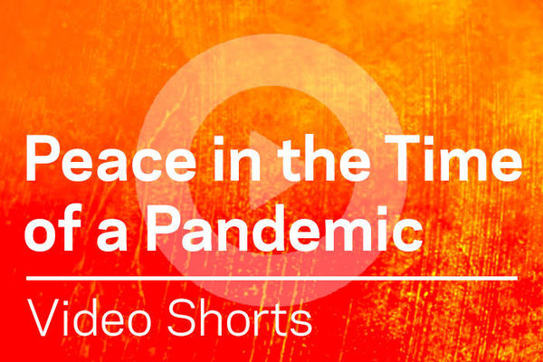 Peace in the Time of a Pandemic: Video Shorts